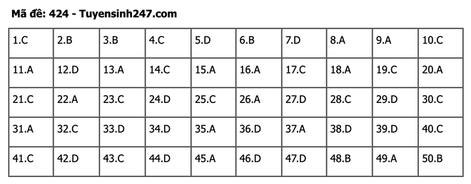 undefined - Ảnh 1.