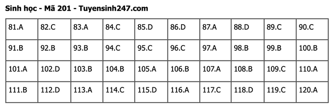 undefined - Ảnh 1.