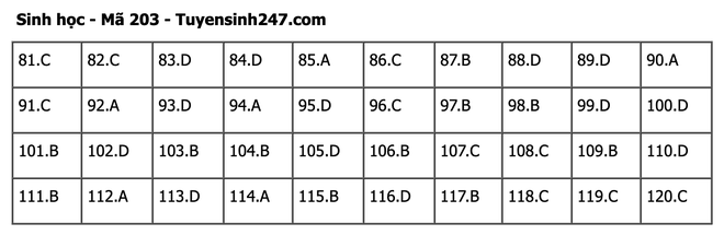 undefined - Ảnh 1.