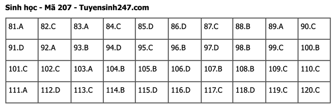 undefined - Ảnh 1.