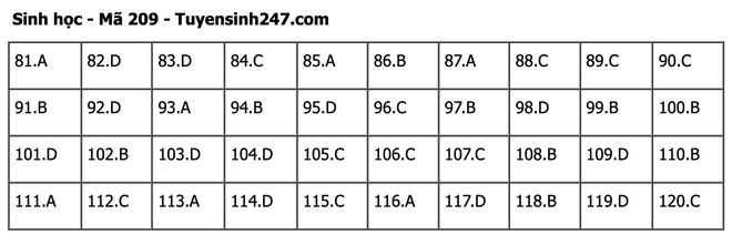 undefined - Ảnh 1.