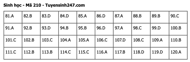 undefined - Ảnh 1.