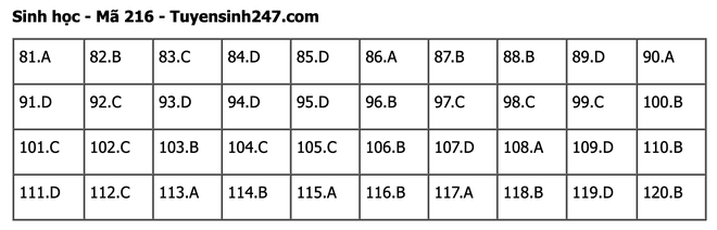 undefined - Ảnh 1.