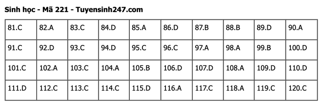 undefined - Ảnh 1.