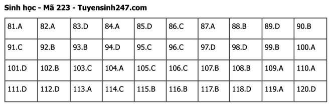 undefined - Ảnh 1.