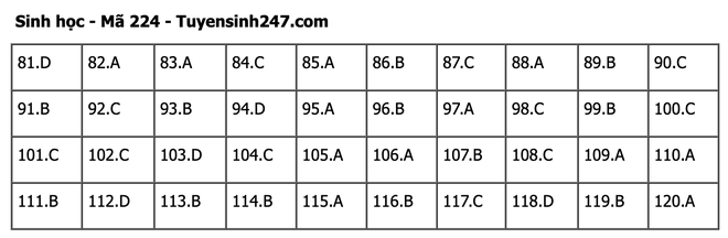 undefined - Ảnh 1.