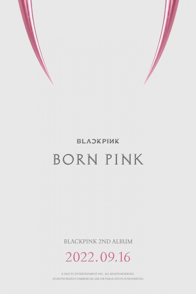 BLACKPINK công bố ngày phát hành album mới - Ảnh 1.