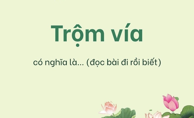 Câu đố Tiếng Việt: Vì sao nói là trộm vía? - Ảnh 1.