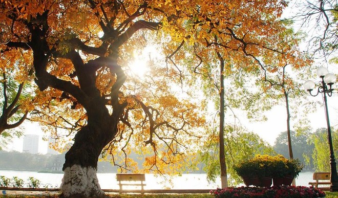 Khám phá 98+ hình ảnh mùa thu ở việt nam hay nhất - Tin Học Vui