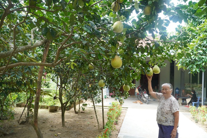 Về làng Đại Bình chơi lễ hội, thưởng thức trái cây miệt vườn bên sông Thu Bồn - Ảnh 2.