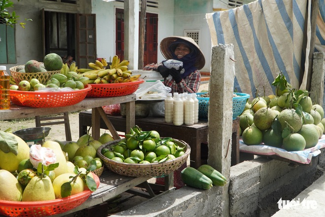 Về làng Đại Bình chơi lễ hội, thưởng thức trái cây miệt vườn bên sông Thu Bồn - Ảnh 3.