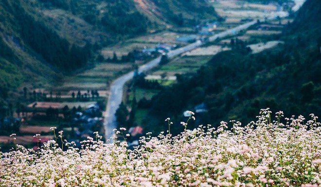 5 nơi đẹp nhất vào mùa thu ở Việt Nam: Địa danh cuối cùng các cặp đôi không nên bỏ lỡ - Ảnh 7.