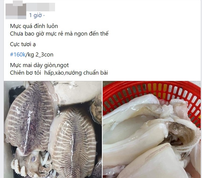 Mặc kệ bão giá, hãy giúp gia đình đổi gió nếu giá hải sản hợp lý, tươi ngon - Ảnh 2.