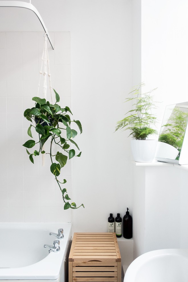 Để phòng tắm luôn tươi mát, sảng khoái bạn hãy bổ sung ngay những loại cây này - Ảnh 6.