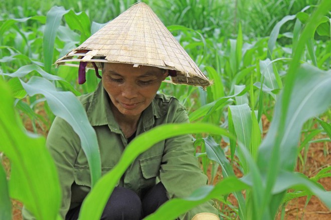 Chông chênh đường tới đại học của nữ sinh dân tộc Mường đạt 29,25 điểm - Ảnh 4.