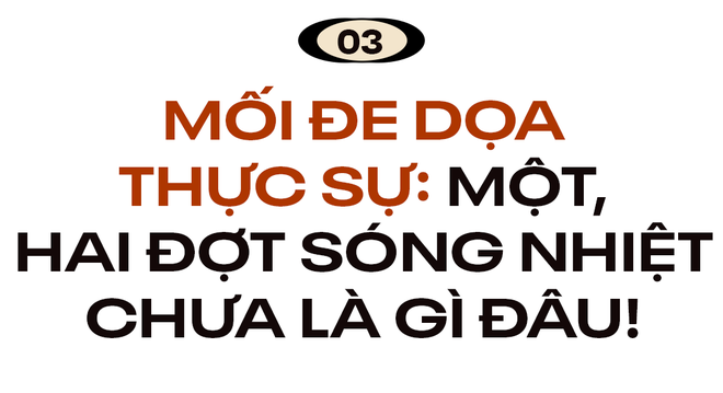 Giải mã: Vì sao châu Âu hóa hỏa ngục, phải chăng con người đang trả giá cho hành động của chính mình? - Ảnh 9.