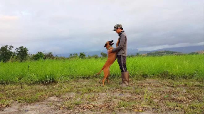 Bỏ giấc mộng trời Âu, 9x Khánh Hòa về quê làm nông trại - Ảnh 5.