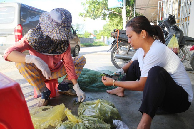 Phi&ecirc;n chợ b&aacute;n t&ocirc;m bay, gi&aacute; nửa triệu mỗi kg vẫn ch&aacute;y h&agrave;ng - Ảnh 7.