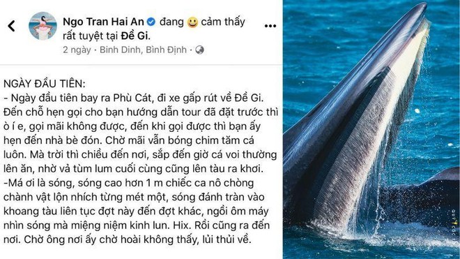 May mắn hơn nữ luật sư Woo Young Woo, travel blogger Hải An thành công săn ảnh cá voi ở biển Đề Gi - Ảnh 7.