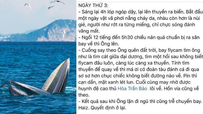 May mắn hơn nữ luật sư Woo Young Woo, travel blogger Hải An thành công săn ảnh cá voi ở biển Đề Gi - Ảnh 9.