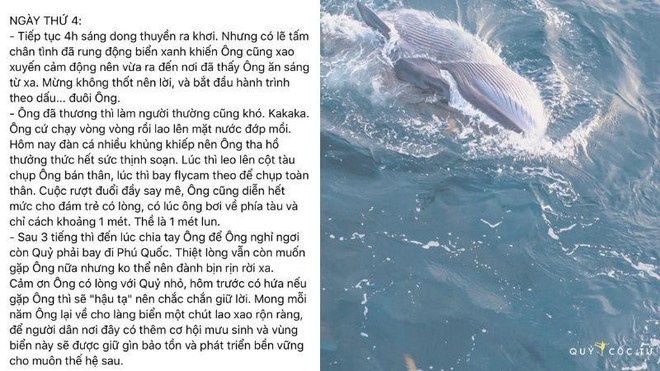 May mắn hơn nữ luật sư Woo Young Woo, travel blogger Hải An thành công săn ảnh cá voi ở biển Đề Gi - Ảnh 10.