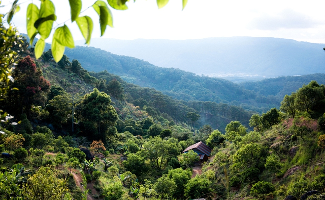 Ch&agrave;ng trai bỏ phố về rừng, l&agrave;m tour du lịch chữa l&agrave;nh, h&ograve;a m&igrave;nh với thi&ecirc;n nhi&ecirc;n - Ảnh 3.