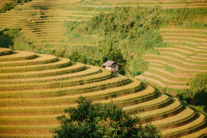 Tháng 9 lên Mù Cang Chải ngắm mùa vàng chảy tràn trên triền núi - Ảnh 9.