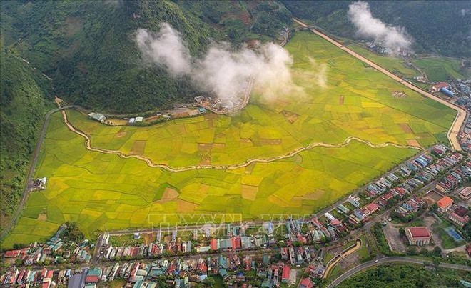 Quyến rũ dải lụa vàng ở thung lũng Mường Khương - Ảnh 4.