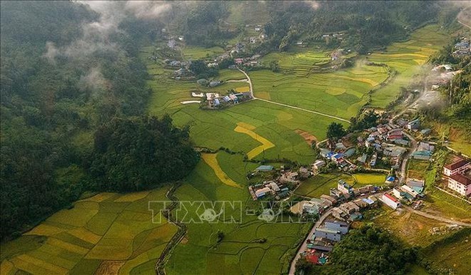 Quyến rũ dải lụa vàng ở thung lũng Mường Khương - Ảnh 6.