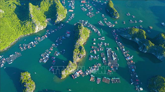 Đảo ngọc C&aacute;t B&agrave; - điểm du lịch kh&aacute;m ph&aacute; hấp dẫn của Hải Ph&ograve;ng - Ảnh 10.