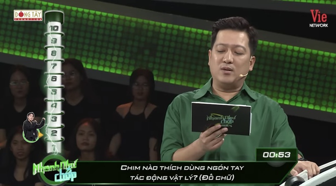 C&acirc;u đố tiếng Việt: Chim n&agrave;o th&iacute;ch d&ugrave;ng ng&oacute;n tay t&aacute;c động vật l&yacute;? - Ảnh 1.