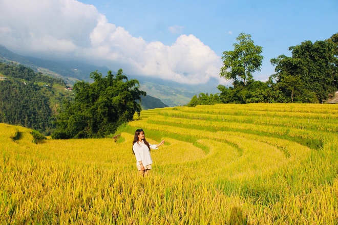 Đi săn lúa ở Sa Pa nhưng không phải ai cũng tìm được những thửa ruộng vàng óng, nguyên sơ - Ảnh 5.