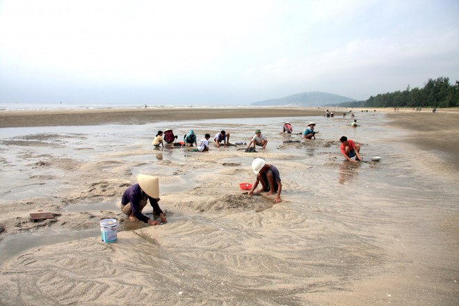 Dung dị vẻ đẹp mưu sinh trên biển Quỳnh - Ảnh 1.