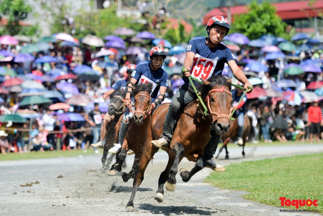 Festival otoñal de la meseta blanca en Bac Ha de Lao Cai - Travel Sense Asia - Agencia Vietnam - Foro Ofertas Comerciales de Viajes