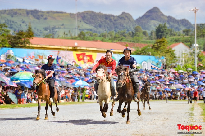 Lễ hội đua ngựa Bắc Hà: Nét văn hóa đặc sắc của đồng bào các dân tộc Tây Bắc - Ảnh 13.