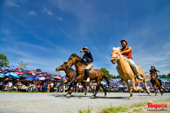 Lễ hội đua ngựa Bắc Hà: Nét văn hóa đặc sắc của đồng bào các dân tộc Tây Bắc - Ảnh 19.