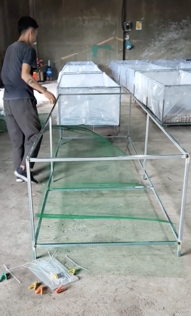 Ch&agrave;ng trai bỏ Nhật Bản về qu&ecirc; nu&ocirc;i dế, xoay sở với 10 triệu đến ng&agrave;y doanh thu khởi sắc - Ảnh 11.