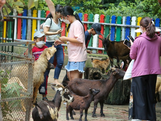 Hàng nghìn người dân đến Thảo Cầm Viên Sài Gòn vui chơi trong ngày đầu nghỉ lễ 2/9 - Ảnh 15.