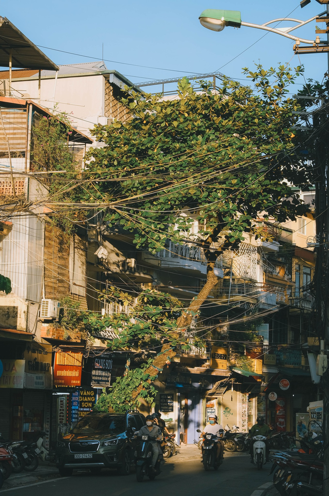 Những khoảnh khắc đẹp đến nao lòng của trời thu Hà Nội khiến ai cũng phải ngẩn ngơ - Ảnh 2.