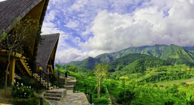 Trải nghiệm săn l&uacute;a ch&iacute;n đ&aacute;ng nhớ ở M&ugrave; Cang Chải - Top 10 ruộng bậc thang đẹp nhất thế giới - Ảnh 4.