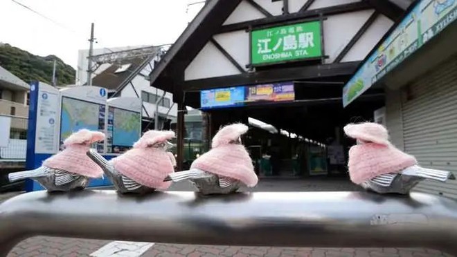 Người phụ nữ đan áo cho đàn chim sắt, biến chúng thành biểu tượng du lịch của Nhật Bản - Ảnh 5.