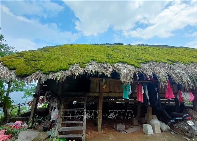 Độc đáo những mái nhà rêu phong nép mình trên dãy Tây Côn Lĩnh (Hà Giang) - Ảnh 6.