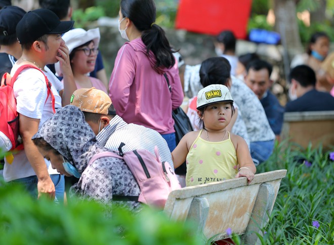 Hà Nội: Công viên Thủ Lệ đông nghịt ngày 2/9, người lớn trẻ nhỏ chen nhau đội nắng tham quan - Ảnh 16.