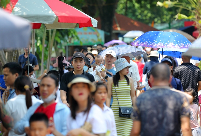 Hà Nội: Công viên Thủ Lệ đông nghịt ngày 2/9, người lớn trẻ nhỏ chen nhau đội nắng tham quan - Ảnh 7.