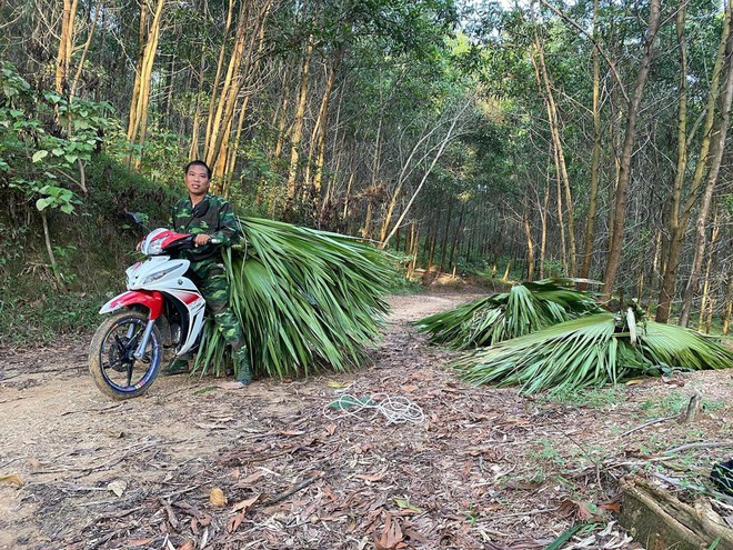 Chàng trai bỏ phố về giữa rừng dựng nhà tre để ở: Cô đơn nhưng yên bình, nuôi mơ ước lớn - Ảnh 2.