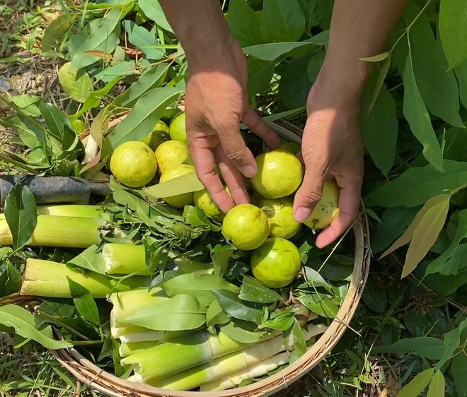 Chàng trai bỏ phố về giữa rừng dựng nhà tre để ở: Cô đơn nhưng yên bình, nuôi mơ ước lớn - Ảnh 7.