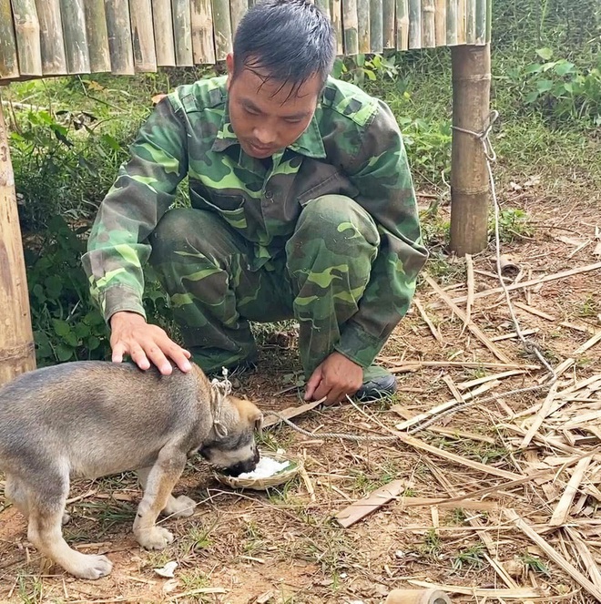 Chàng trai bỏ phố về giữa rừng dựng nhà tre để ở: Cô đơn nhưng yên bình, nuôi mơ ước lớn - Ảnh 7.