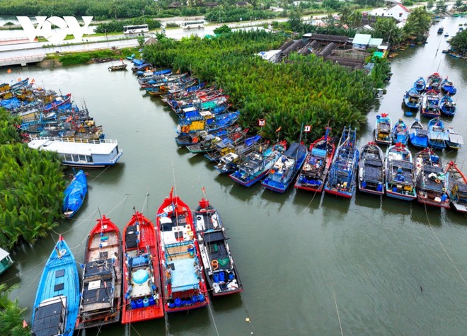 Hội An dừng b&aacute;n v&eacute; khu phố cổ, t&agrave;u thuyền du lịch neo đậu an to&agrave;n - Ảnh 1.