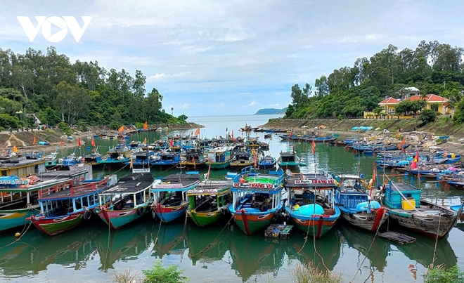 Hội An dừng b&aacute;n v&eacute; khu phố cổ, t&agrave;u thuyền du lịch neo đậu an to&agrave;n - Ảnh 15.