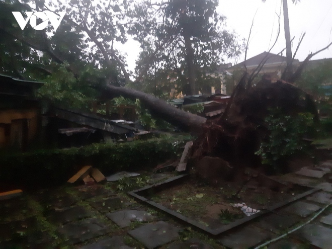 Chặt cây ngã đổ, kê dọn các khu vực có tôn rơi, dọn dẹp đường sá sau bão số 4 - Ảnh 77.